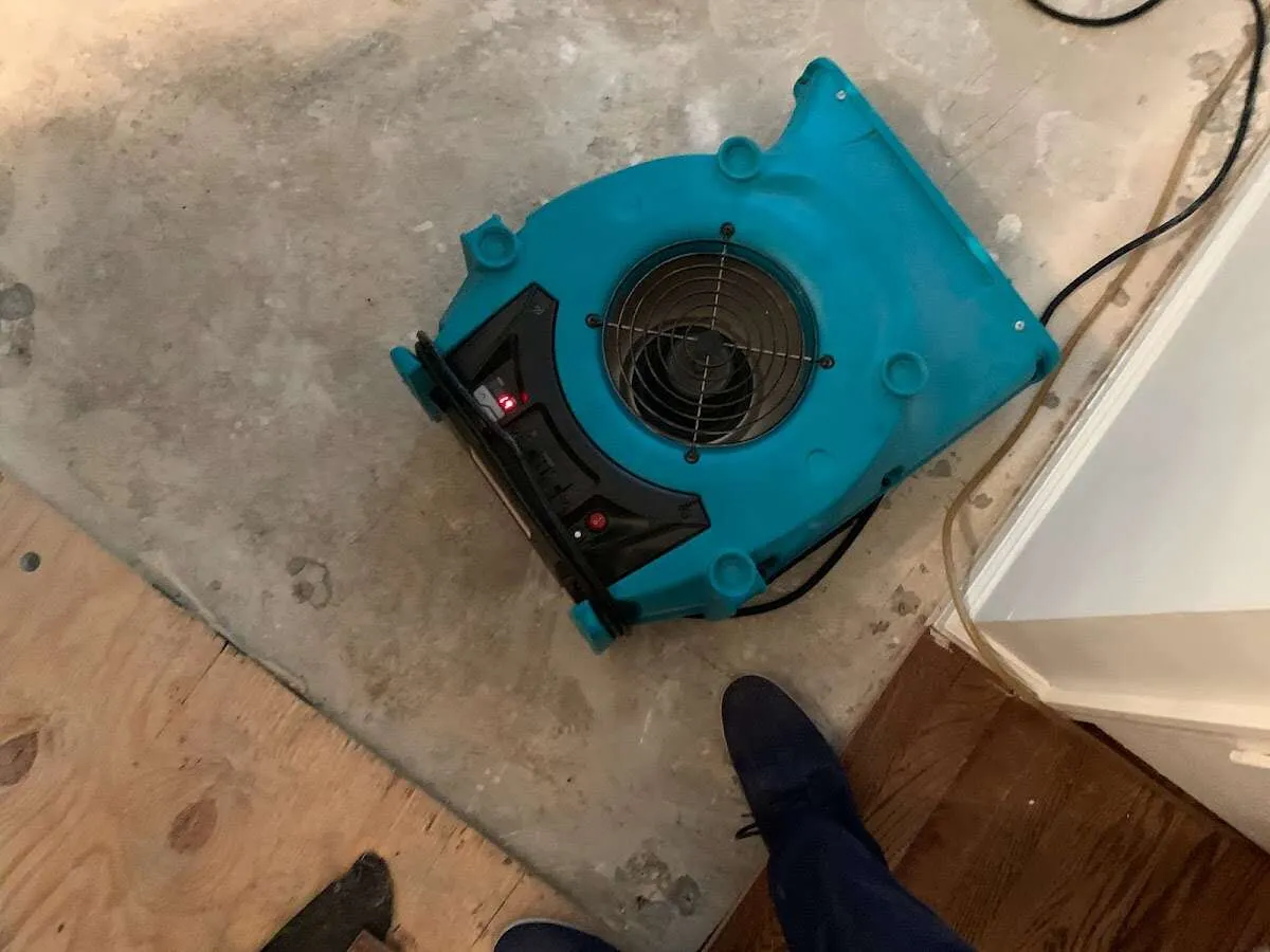 Air mover drying subfloor during Commercial Water Damage Restoration in Coronado